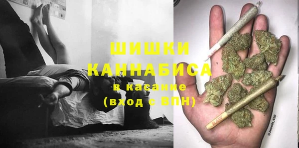 гидропоника Алзамай