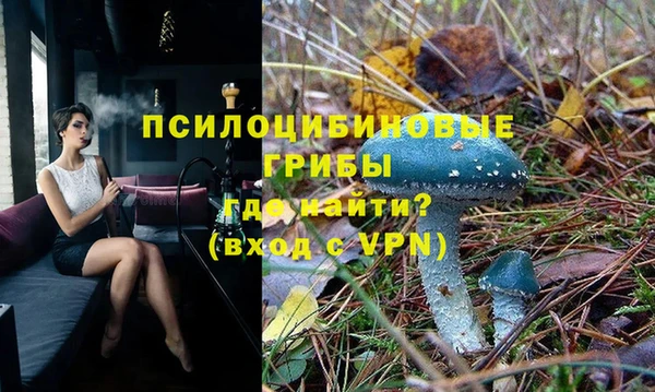 гидропоника Алзамай