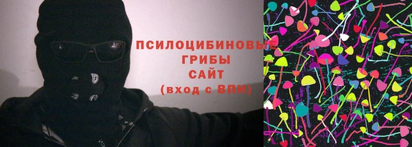 гидропоника Алзамай