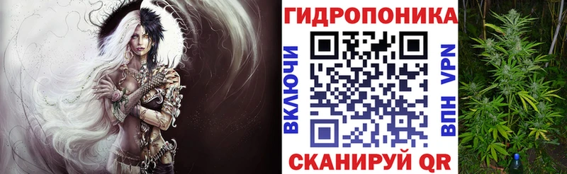 Бошки Шишки план  кракен ТОР  Полевской 